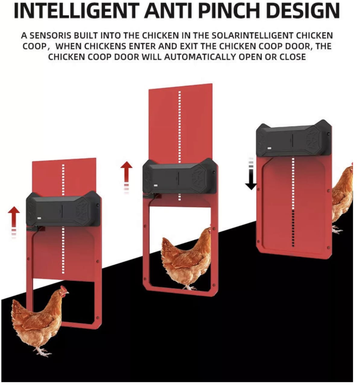 avsdbv (4)