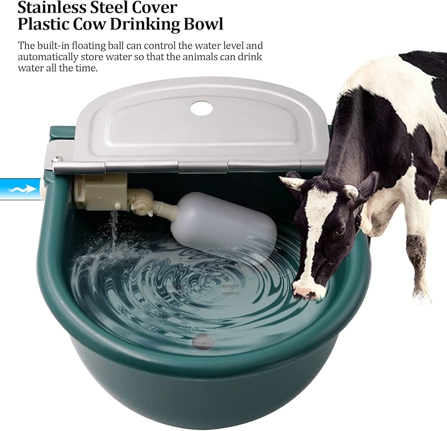 Top Features to Look for in an Automatic Cattle Drinking Bowl