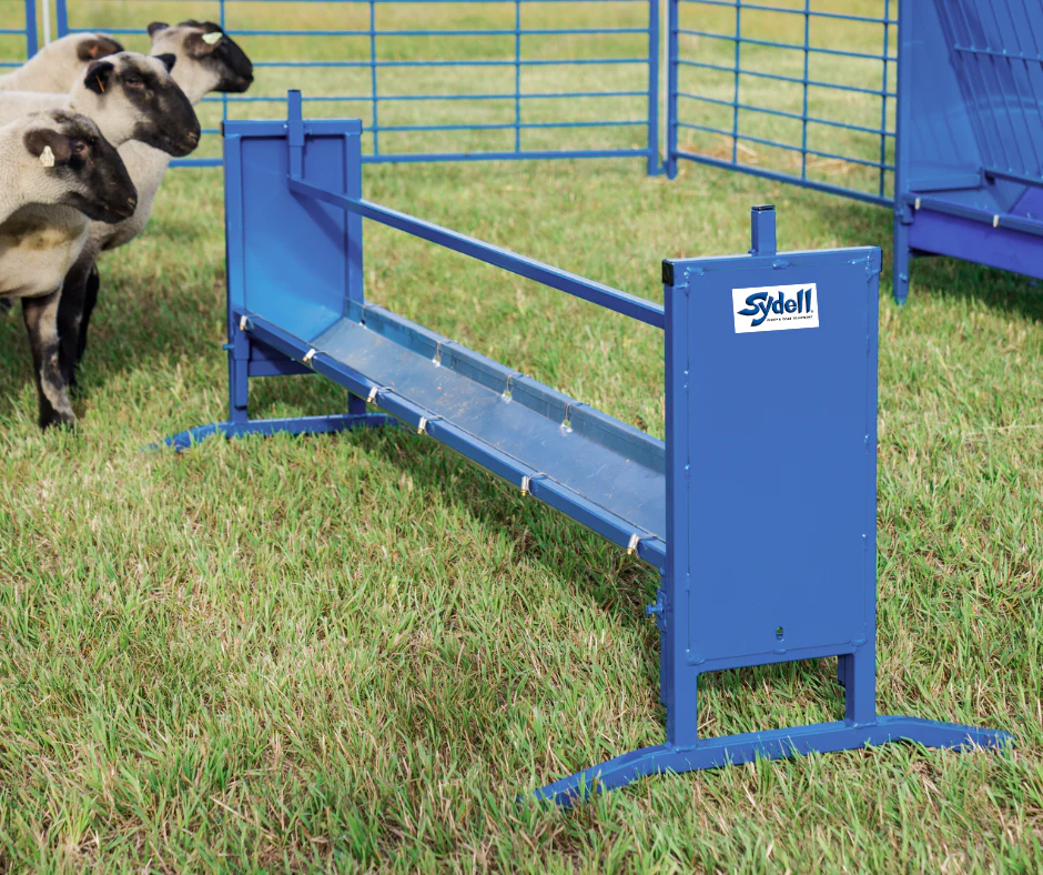 sheep_feeding_trough
